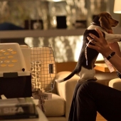 30 errors and cliches that the audience doesn't forgive the movies