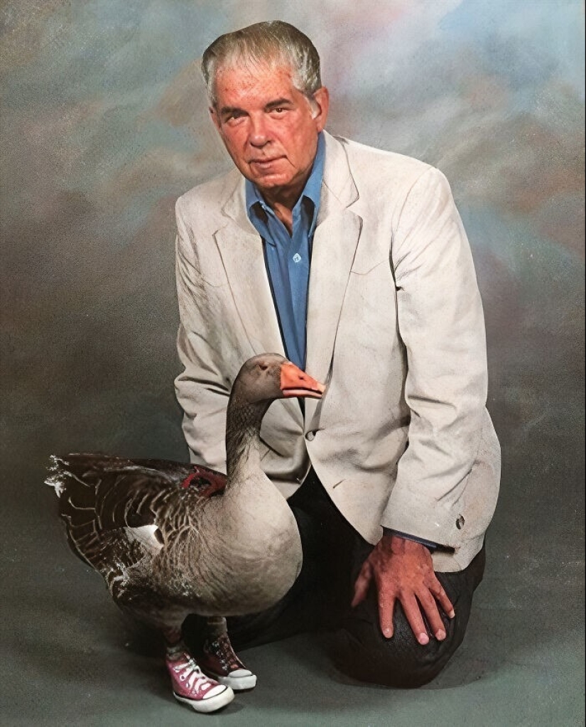 30 Fascinating Facts from the "Today I Learned" Series