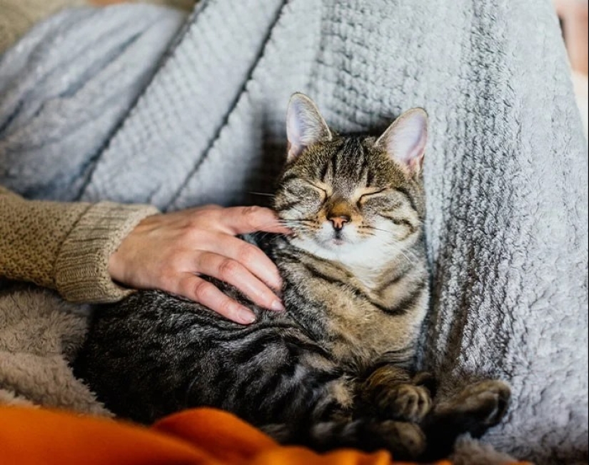 30 Fascinating Facts from the "Today I Learned" Series