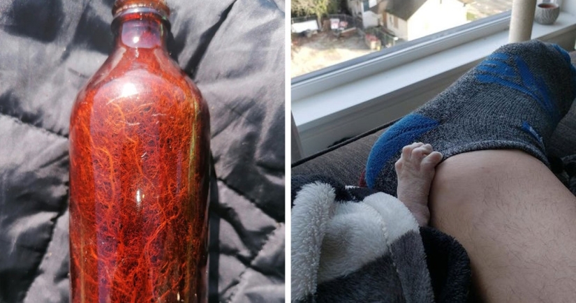 30 fotografías inusuales que demuestran que el mundo está lleno de misterios y cosas asombrosas 30 fotografías inusuales que demuestran que el mundo está lleno de misterios y cosas asombrosas