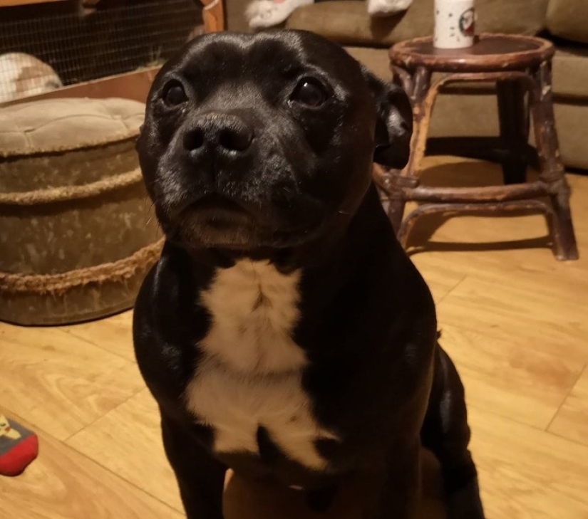 30 fotografías inusuales que demuestran que el mundo está lleno de misterios y cosas asombrosas 30 fotografías inusuales que demuestran que el mundo está lleno de misterios y cosas asombrosas