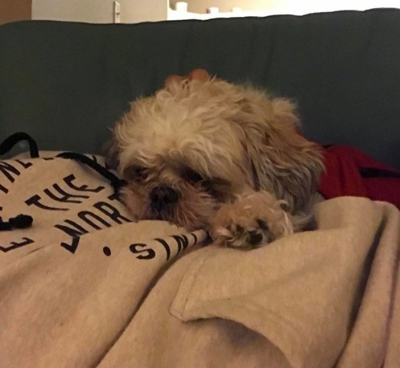 30 fotografías inusuales que demuestran que el mundo está lleno de misterios y cosas asombrosas 30 fotografías inusuales que demuestran que el mundo está lleno de misterios y cosas asombrosas