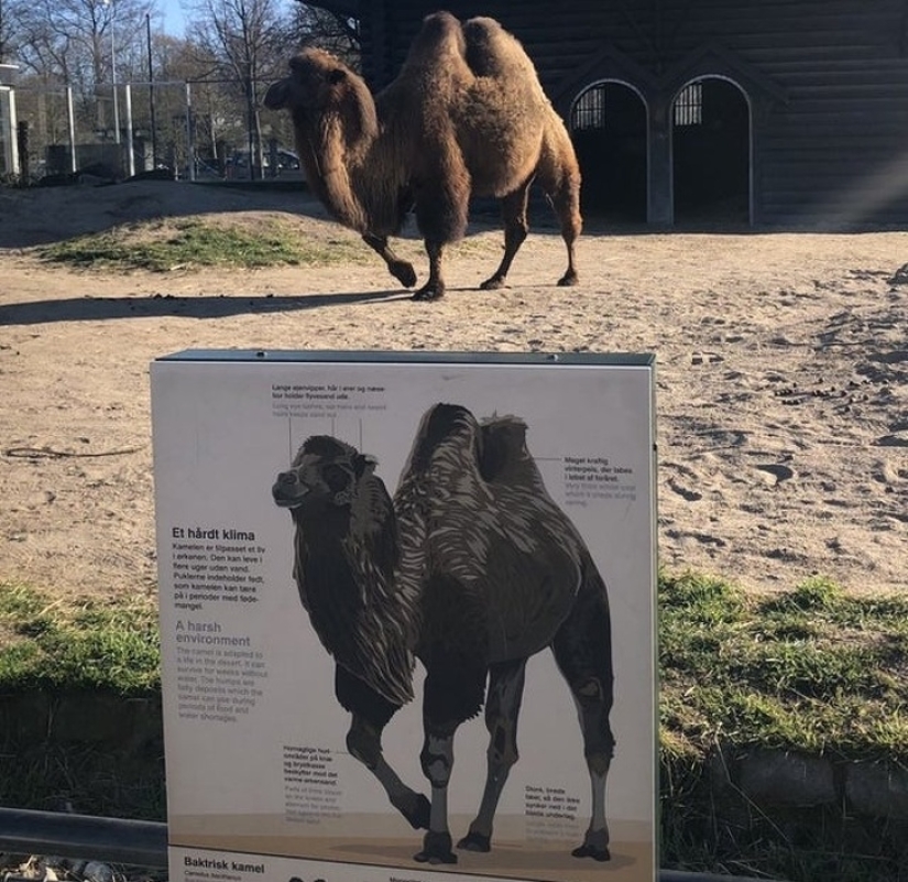 30 fotografías inusuales que demuestran que el mundo está lleno de misterios y cosas asombrosas 30 fotografías inusuales que demuestran que el mundo está lleno de misterios y cosas asombrosas