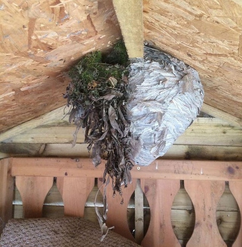 30 fotografías inusuales que demuestran que el mundo está lleno de misterios y cosas asombrosas 30 fotografías inusuales que demuestran que el mundo está lleno de misterios y cosas asombrosas