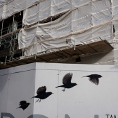 30 fotogramas de fotografía callejera con sincronización perfecta