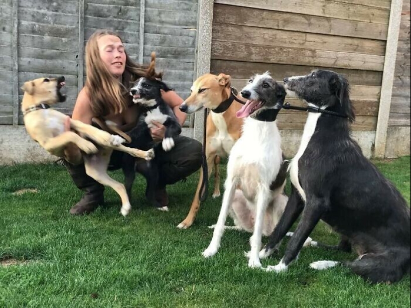 30 fotos de la familia que no sería tan divertido, si no para Sobakina 30 fotos de la familia que no sería tan divertido, si no para Sobakina