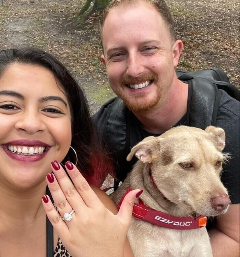 30 fotos de la familia que no sería tan divertido, si no para Sobakina 30 fotos de la familia que no sería tan divertido, si no para Sobakina