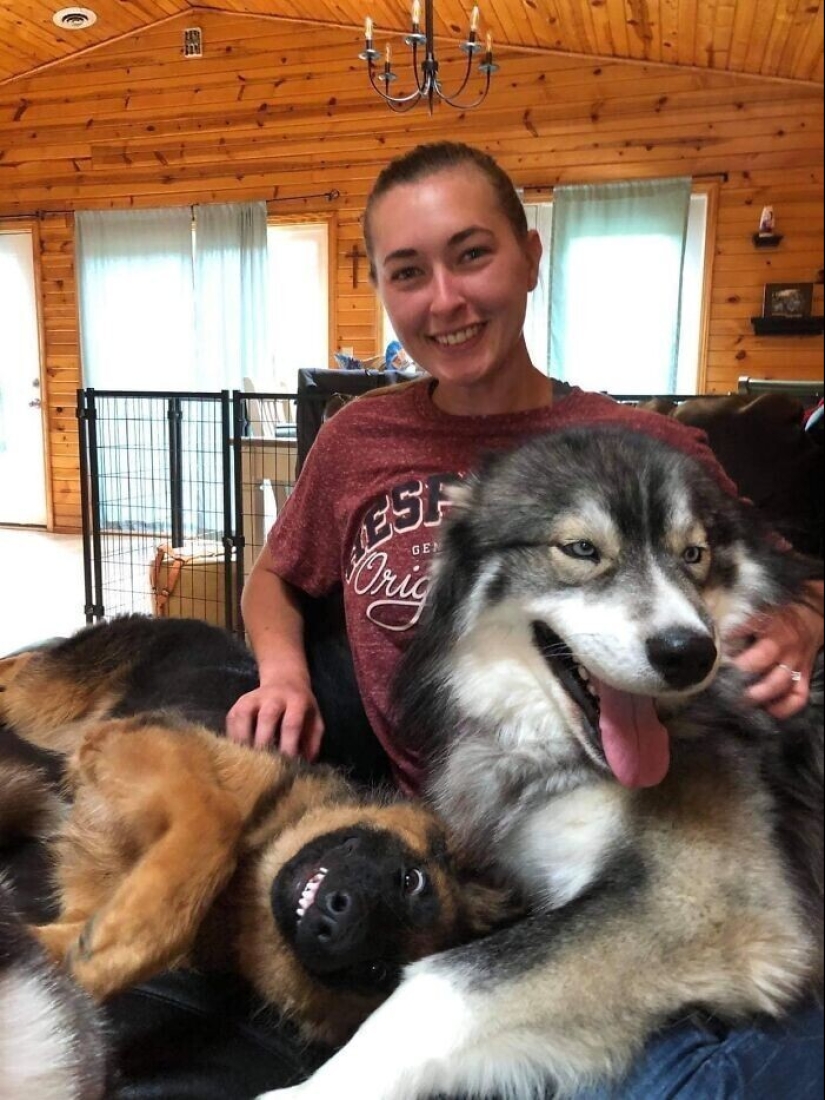 30 fotos de la familia que no sería tan divertido, si no para Sobakina 30 fotos de la familia que no sería tan divertido, si no para Sobakina