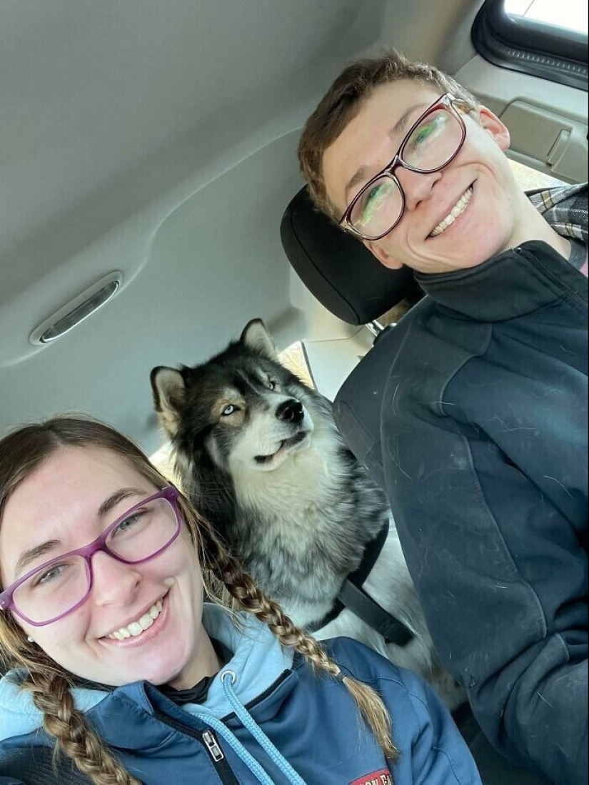 30 fotos de la familia que no sería tan divertido, si no para Sobakina 30 fotos de la familia que no sería tan divertido, si no para Sobakina