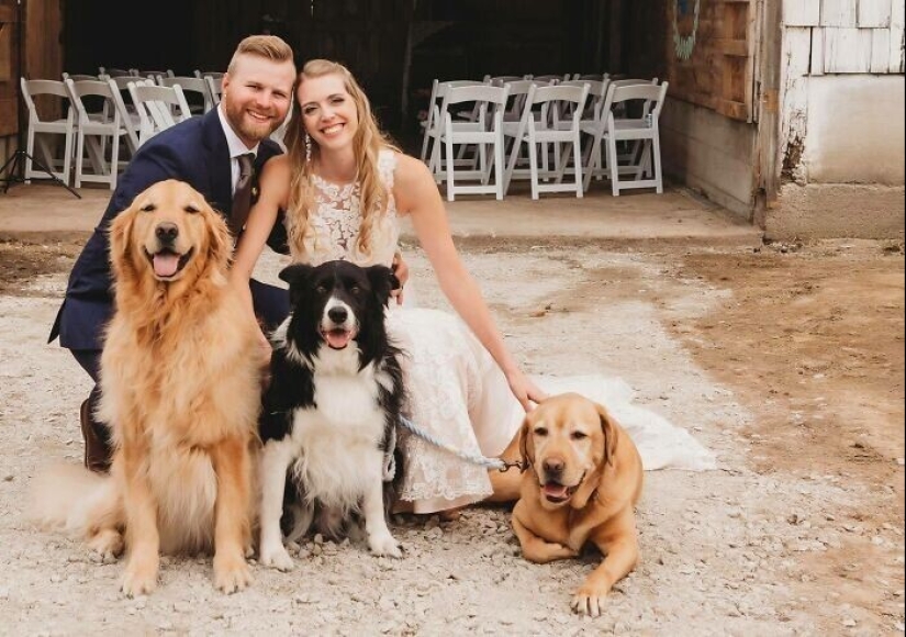 30 fotos de la familia que no sería tan divertido, si no para Sobakina 30 fotos de la familia que no sería tan divertido, si no para Sobakina