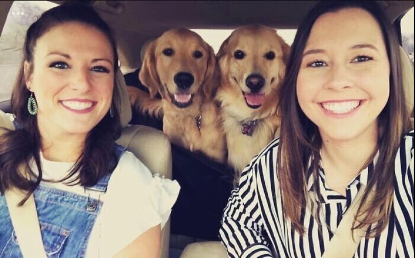 30 fotos de la familia que no sería tan divertido, si no para Sobakina 30 fotos de la familia que no sería tan divertido, si no para Sobakina