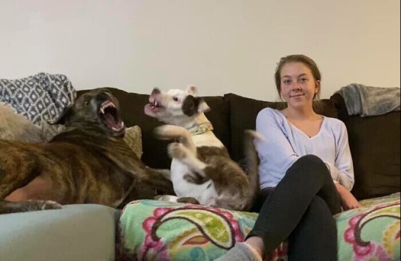 30 fotos de la familia que no sería tan divertido, si no para Sobakina 30 fotos de la familia que no sería tan divertido, si no para Sobakina