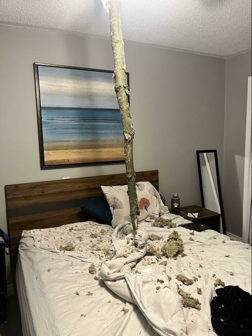 30 fotos espeluznantes que te ponen la piel de gallina