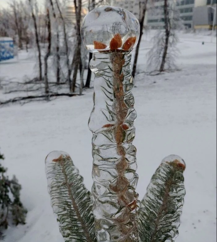 30 fotos frías que muestran claramente todo el poder del duro invierno