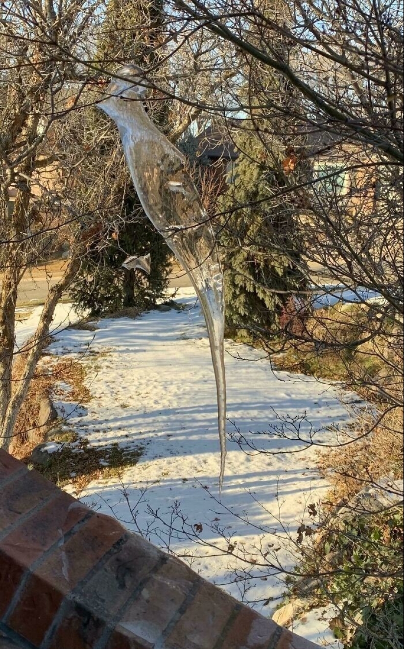 30 fotos frías que muestran claramente todo el poder del duro invierno