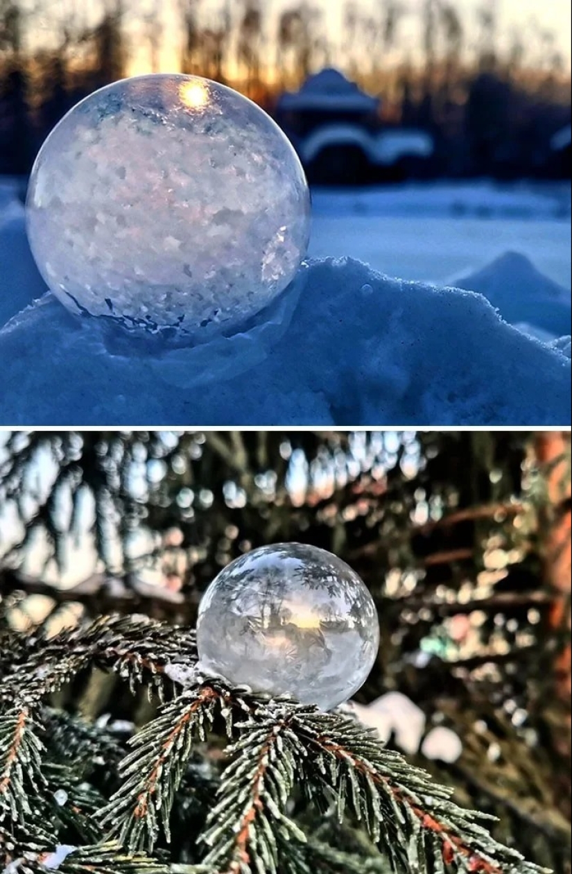 30 fotos frías que muestran claramente todo el poder del duro invierno