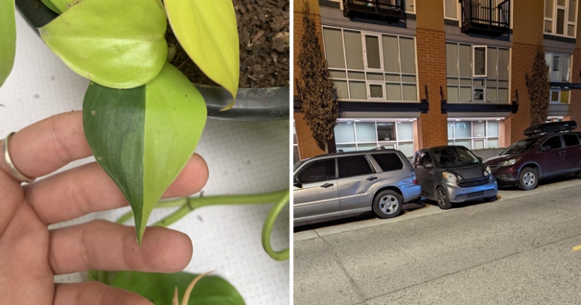 30 fotos interesantes de diferentes diferencias que despiertan el interés 30 fotos interesantes de diferentes diferencias que despiertan el interés