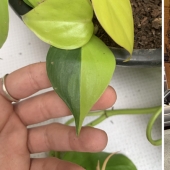 30 fotos interesantes de diferentes diferencias que despiertan el interés