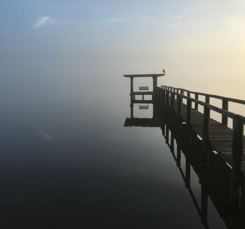 30 fotos interesantes de diferentes diferencias que despiertan el interés 30 fotos interesantes de diferentes diferencias que despiertan el interés