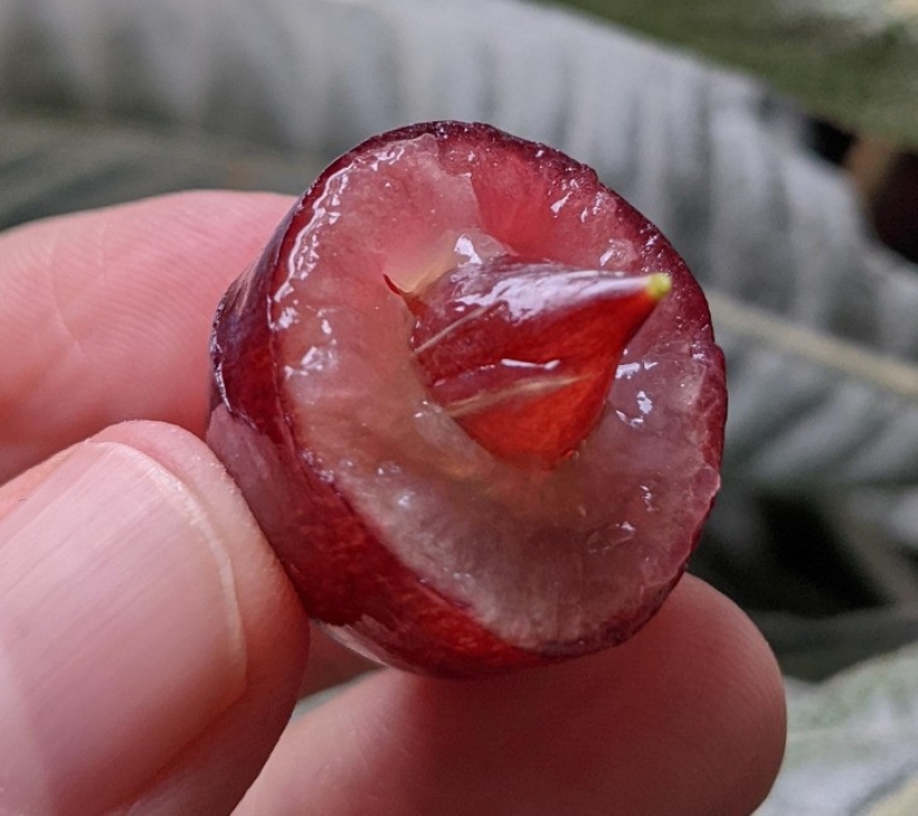 30 fotos interesantes de diferentes diferencias que despiertan el interés 30 fotos interesantes de diferentes diferencias que despiertan el interés