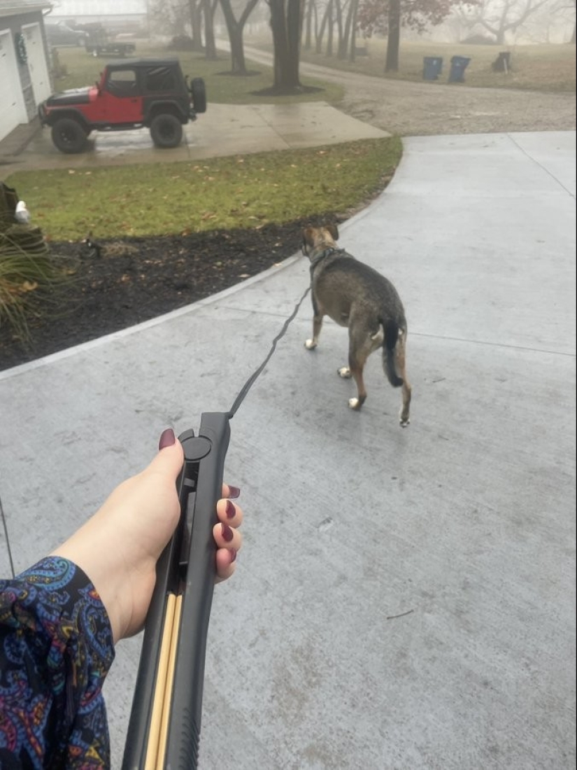 30 fotos interesantes de diferentes diferencias que despiertan el interés 30 fotos interesantes de diferentes diferencias que despiertan el interés