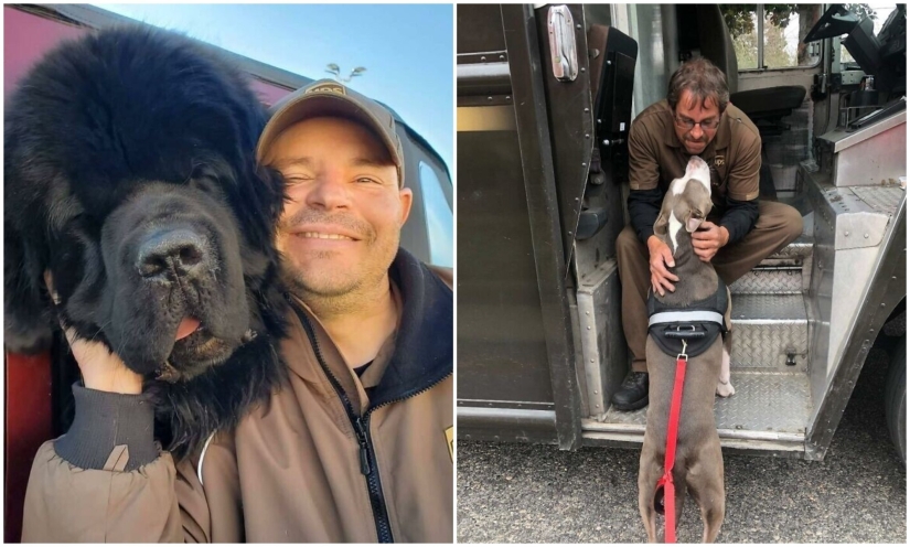 30 fotos lindas sobre el amor de los perros para los mensajeros 30 fotos lindas sobre el amor de los perros para los mensajeros