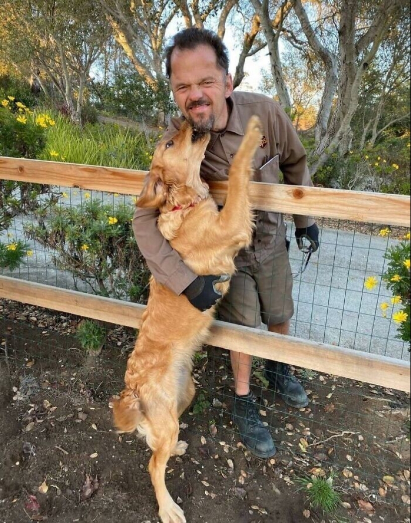 30 fotos lindas sobre el amor de los perros para los mensajeros 30 fotos lindas sobre el amor de los perros para los mensajeros