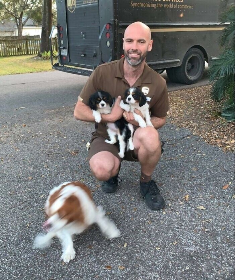 30 fotos lindas sobre el amor de los perros para los mensajeros 30 fotos lindas sobre el amor de los perros para los mensajeros