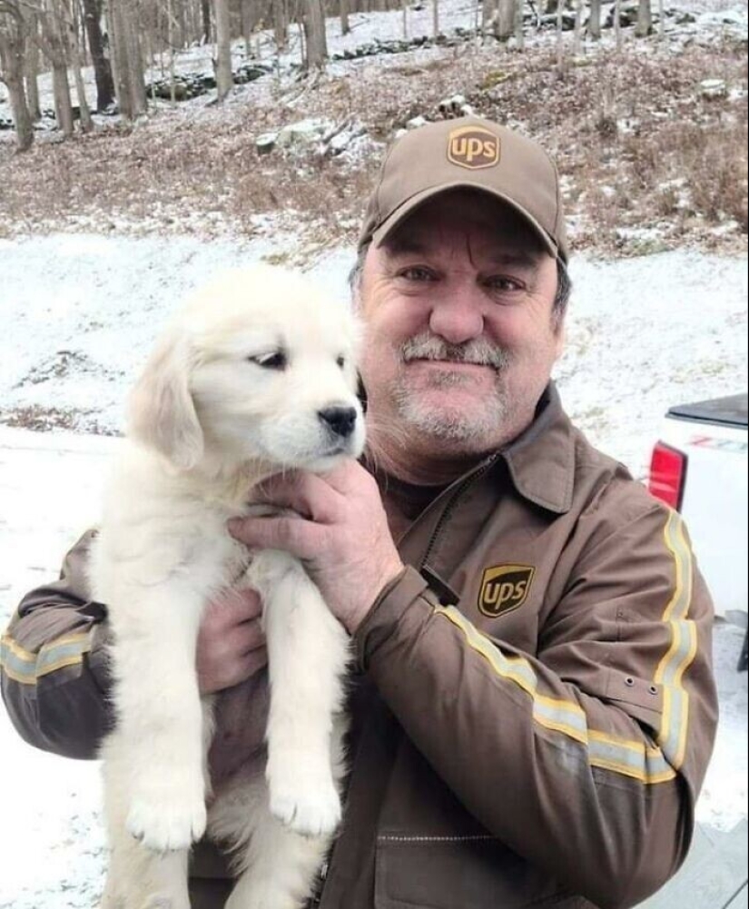 30 fotos lindas sobre el amor de los perros para los mensajeros 30 fotos lindas sobre el amor de los perros para los mensajeros