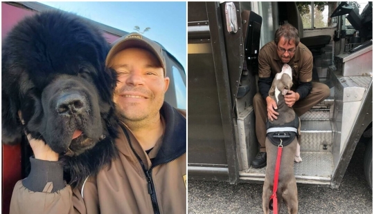 30 fotos lindas sobre el amor de los perros para los mensajeros