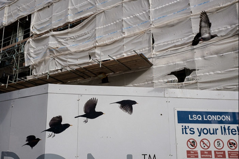 30 frames of street photography with perfect timing 30 frames of street photography with perfect timing