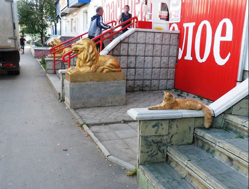 30 frames of street photography with perfect timing 30 frames of street photography with perfect timing