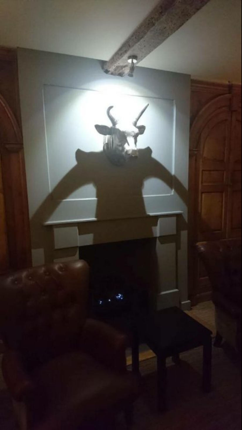 30 funny photos of shadows that look like something else 30 funny photos of shadows that look like something else