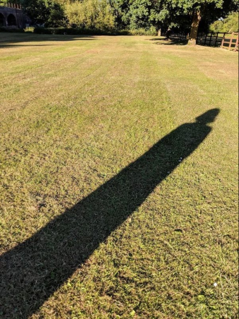 30 funny photos of shadows that look like something else 30 funny photos of shadows that look like something else