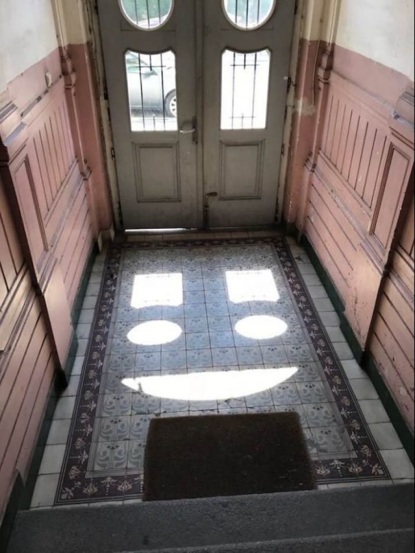 30 funny photos of shadows that look like something else 30 funny photos of shadows that look like something else