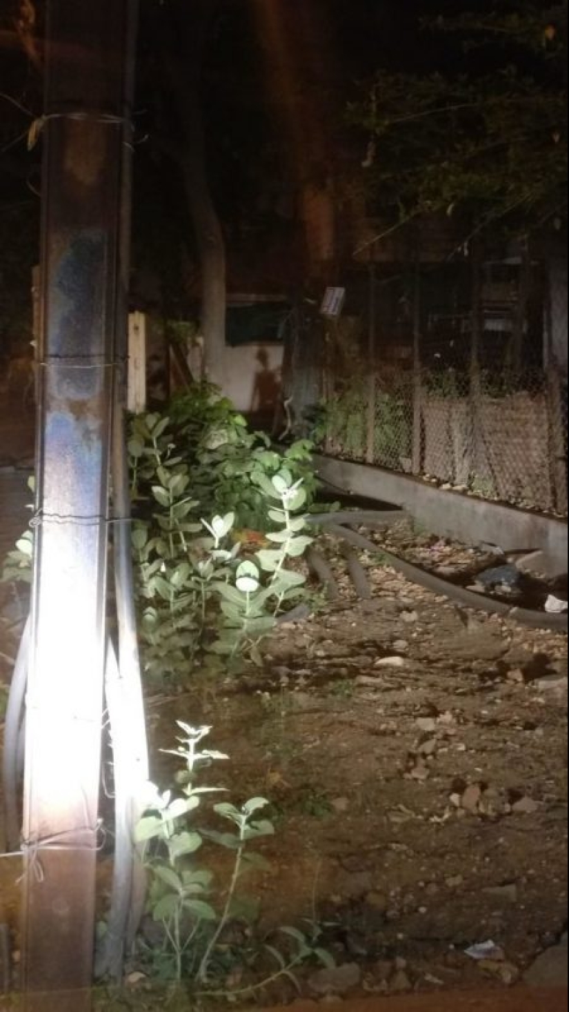 30 funny photos of shadows that look like something else 30 funny photos of shadows that look like something else