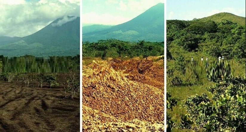 30 hechos inesperados que te sorprenderán hasta la médula 30 hechos inesperados que te sorprenderán hasta la médula