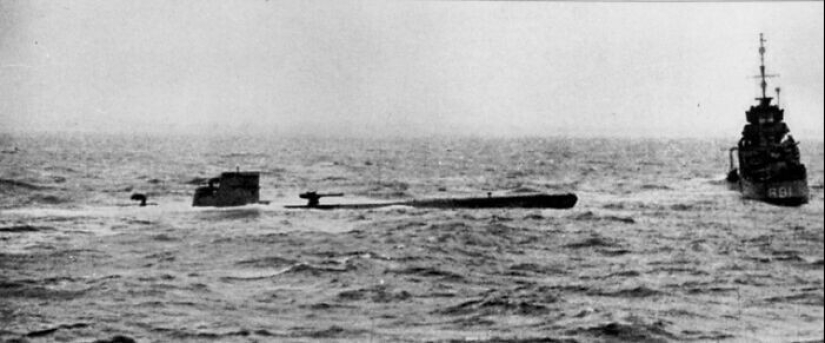 30 hechos inesperados que te sorprenderán hasta la médula 30 hechos inesperados que te sorprenderán hasta la médula