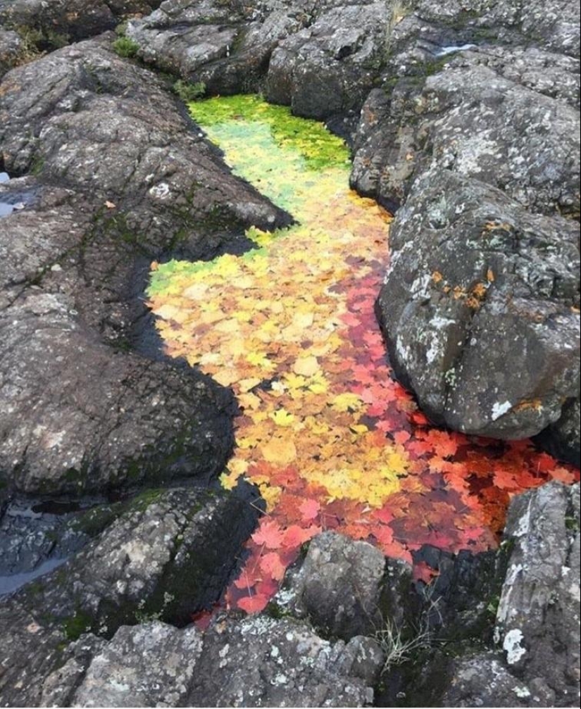 30 imágenes que harán las delicias de su interior perfeccionista 30 imágenes que harán las delicias de su interior perfeccionista