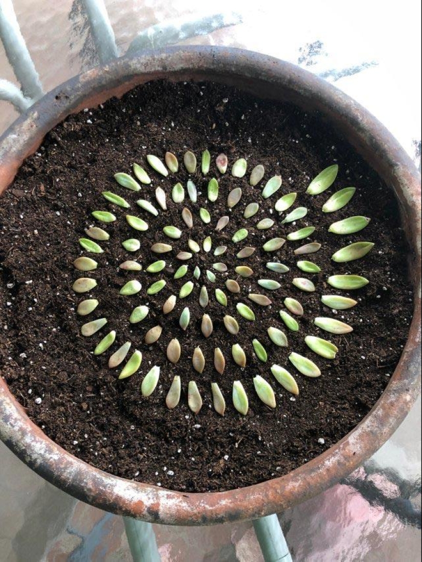 30 imágenes que harán las delicias de su interior perfeccionista 30 imágenes que harán las delicias de su interior perfeccionista