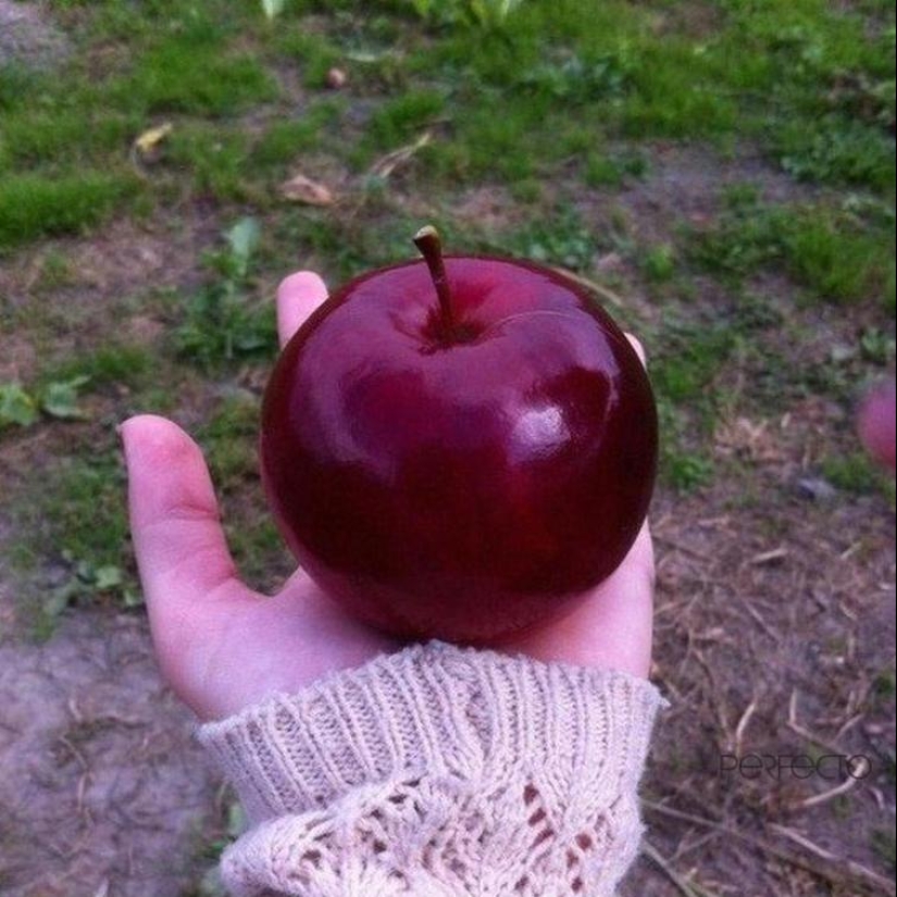 30 imágenes que harán las delicias de su interior perfeccionista 30 imágenes que harán las delicias de su interior perfeccionista