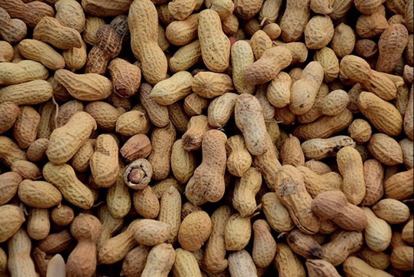 30 increíbles hechos que a primera vista parece absurdo