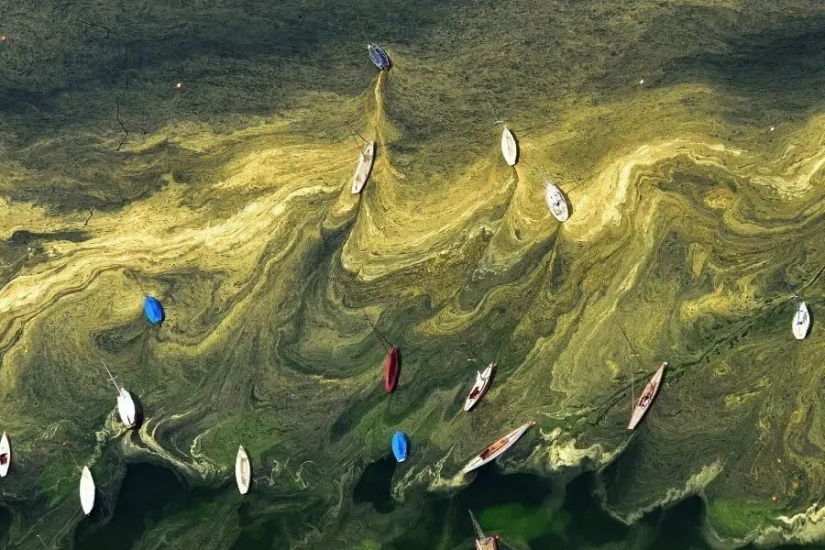 30 incredibly beautiful photos that prove that life is beautiful and amazing 30 incredibly beautiful photos that prove that life is beautiful and amazing