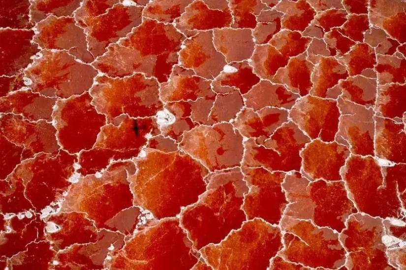 30 incredibly beautiful photos that prove that life is beautiful and amazing 30 incredibly beautiful photos that prove that life is beautiful and amazing