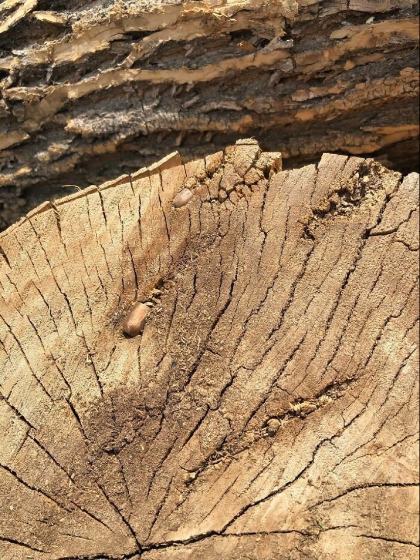 30 inesperado se encuentra dentro de una desmontado o cosas rotas