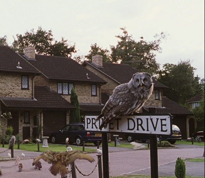 30 ironic and unexpected "thoughts out loud" about famous films 30 ironic and unexpected "thoughts out loud" about famous films