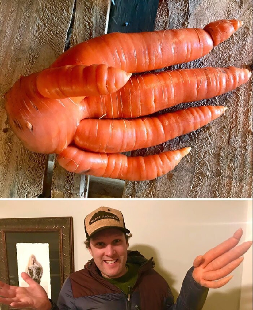 30 la gente afortunada que ganó el premio mayor en la comida de la lotería 30 la gente afortunada que ganó el premio mayor en la comida de la lotería