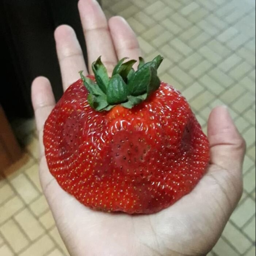 30 la gente afortunada que ganó el premio mayor en la comida de la lotería 30 la gente afortunada que ganó el premio mayor en la comida de la lotería