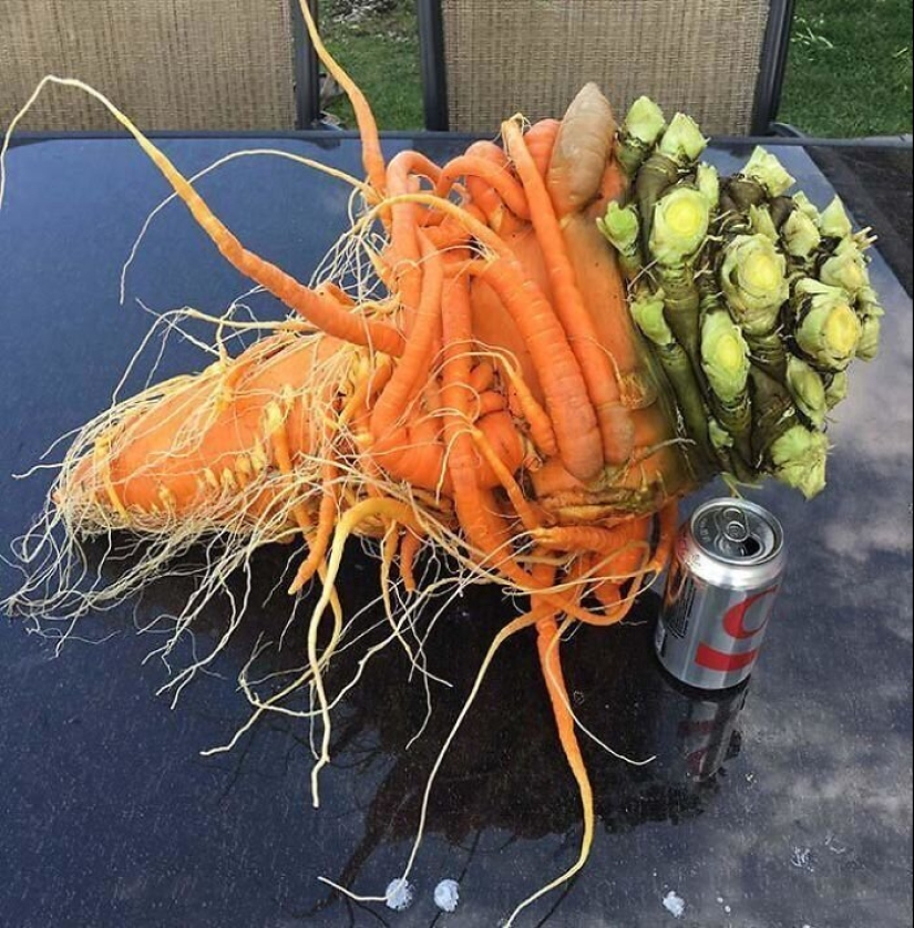 30 la gente afortunada que ganó el premio mayor en la comida de la lotería 30 la gente afortunada que ganó el premio mayor en la comida de la lotería