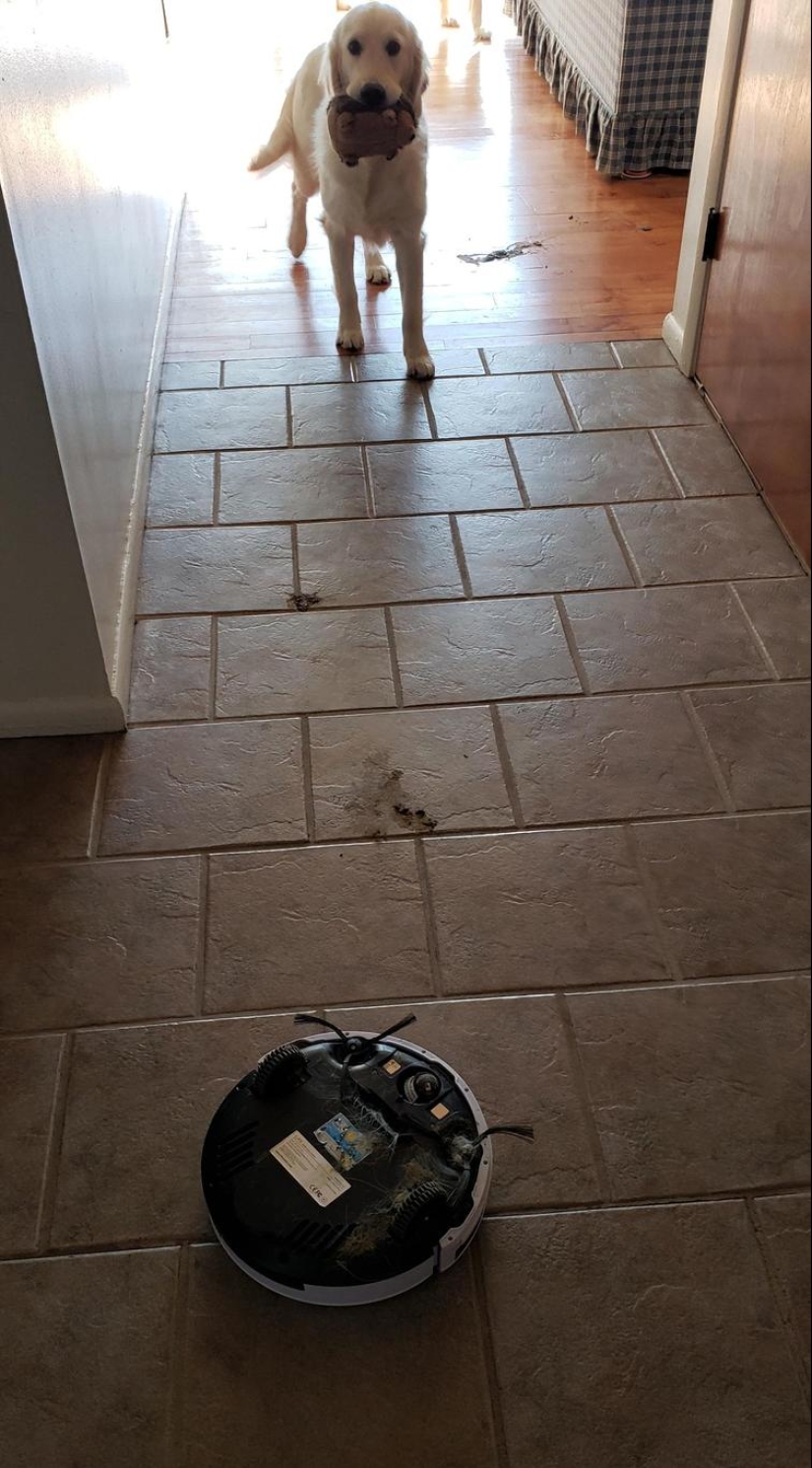 30 las personas que han tenido un mal día, que es poco probable que vaya a peor 30 las personas que han tenido un mal día, que es poco probable que vaya a peor